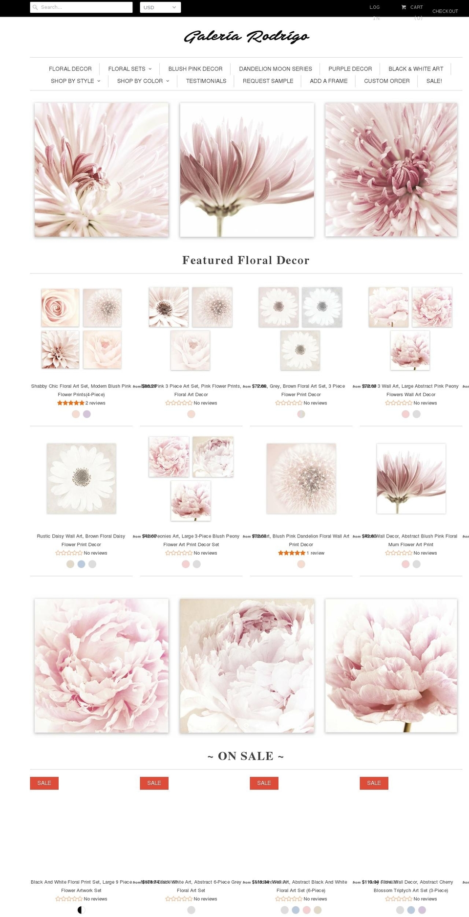 galeriarodrigo.com shopify website screenshot