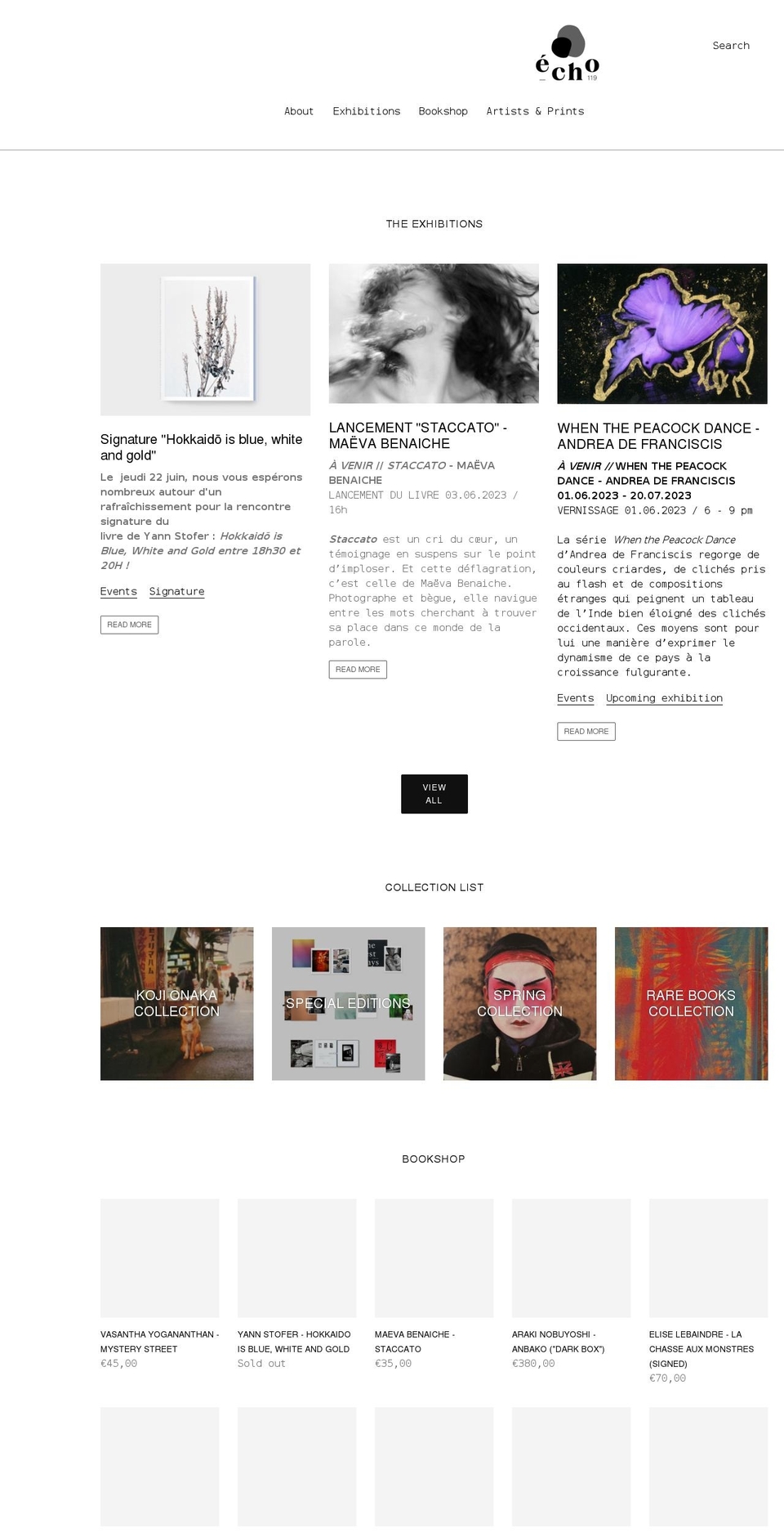galerieecho119.com shopify website screenshot