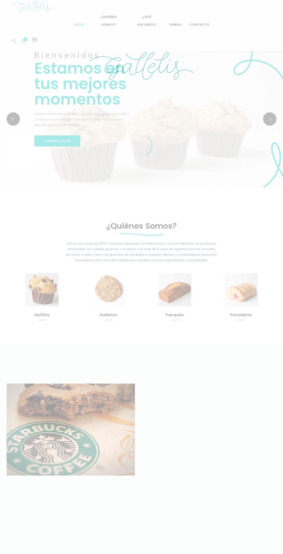 gallelis.com shopify website screenshot