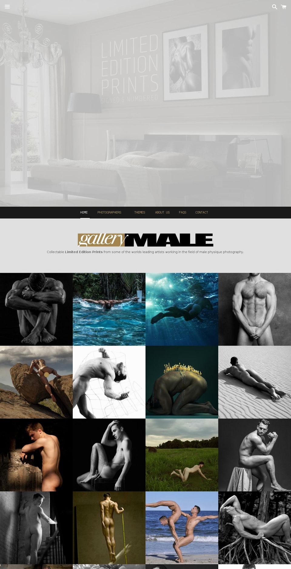gallerymale.com shopify website screenshot