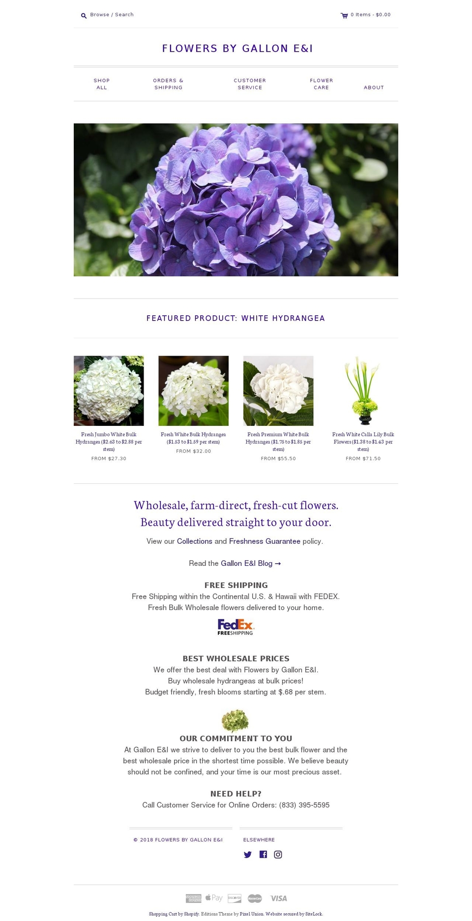gallonei.net shopify website screenshot