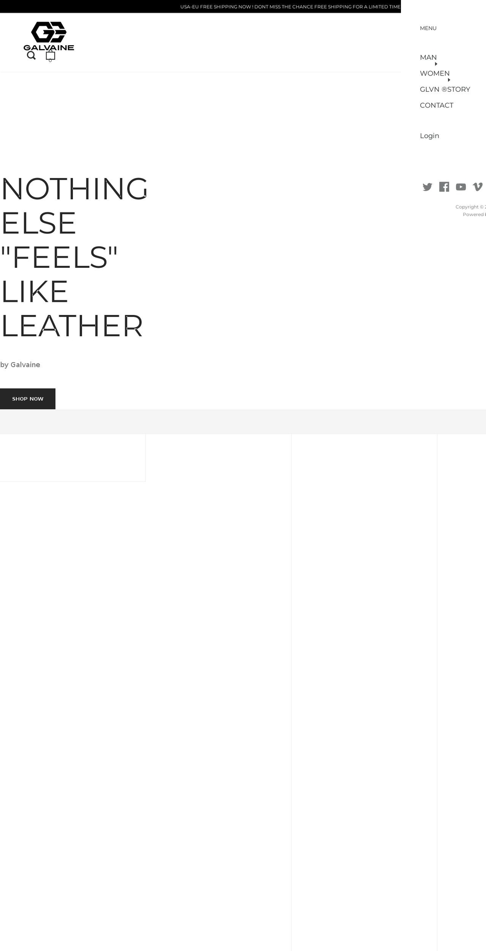 galvaine.com shopify website screenshot