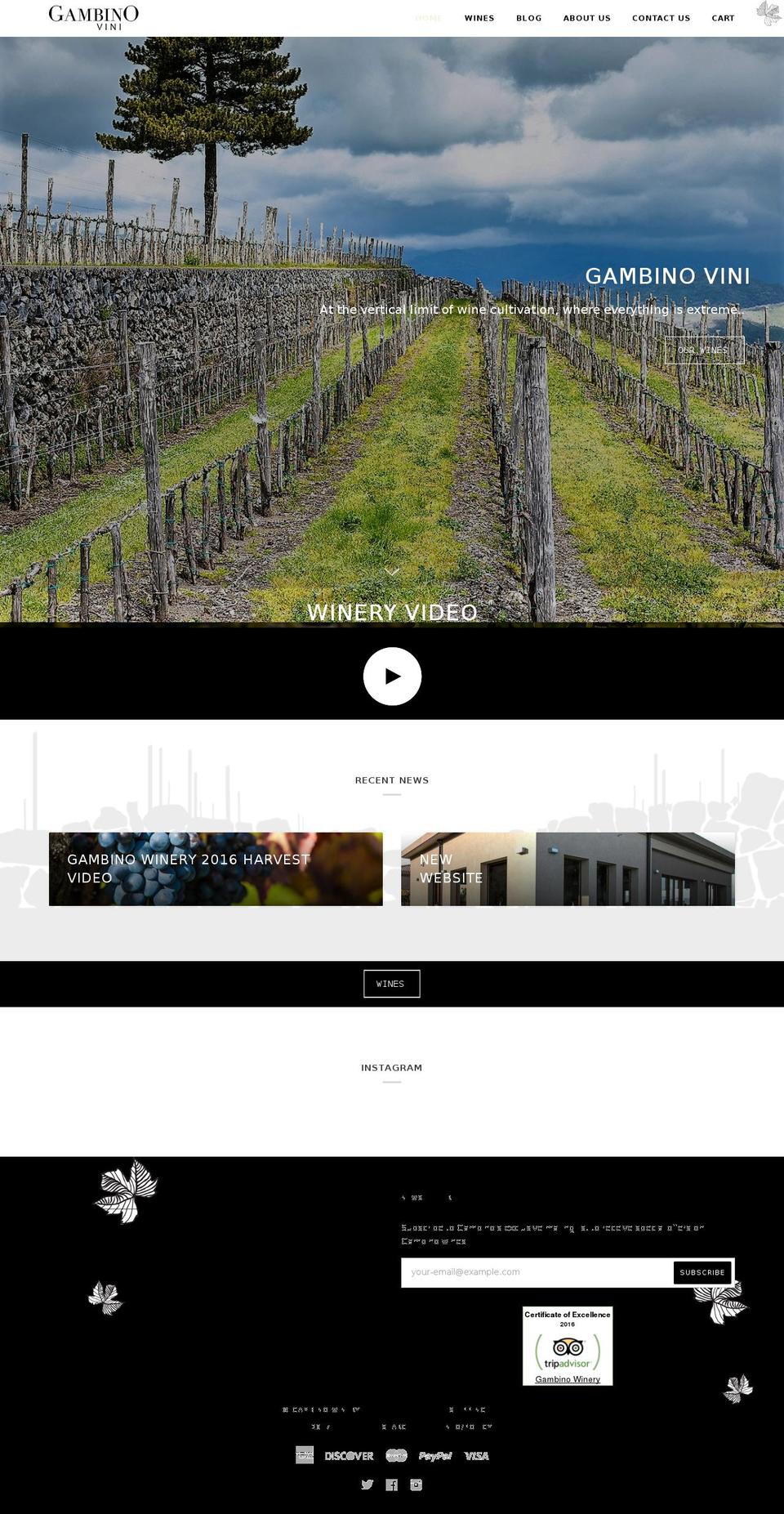 Creative Shopify theme site example gambinowinery.com