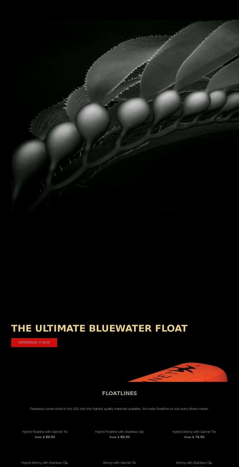 gannetdive.com shopify website screenshot