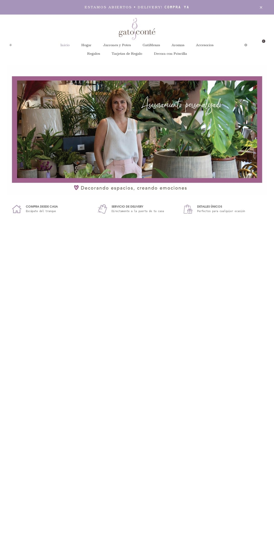 gatoconte.com shopify website screenshot