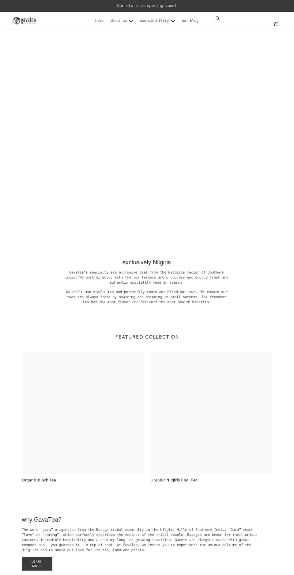 gavatea.com shopify website screenshot