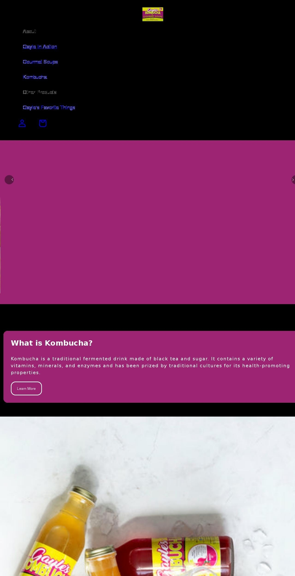 gayleskombucha.com shopify website screenshot
