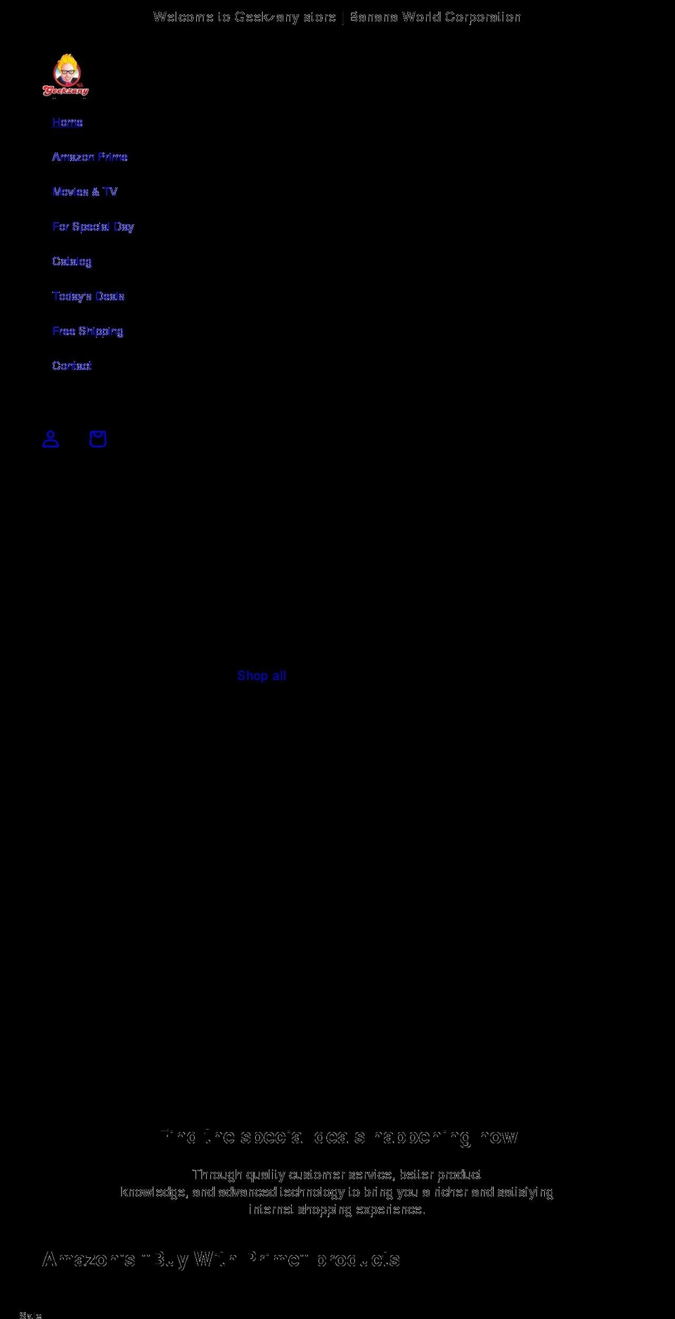 geekzany.com shopify website screenshot