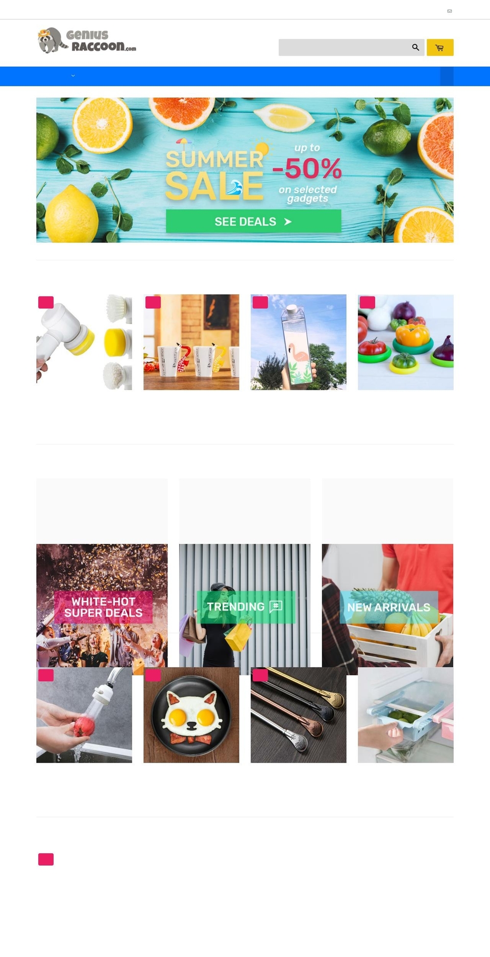 geniusraccoon.com — Shopify storefront screenshot
