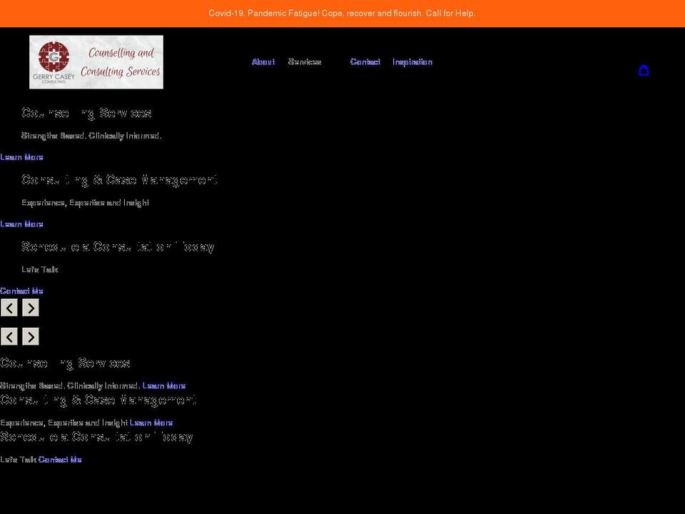 gerrycaseyconsulting.com shopify website screenshot