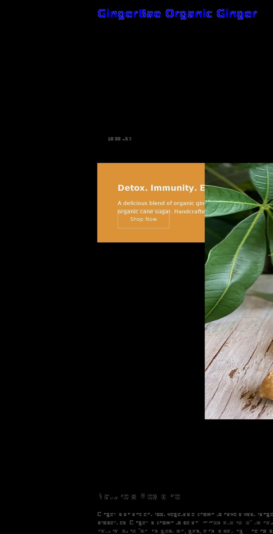 gingerbae.com shopify website screenshot