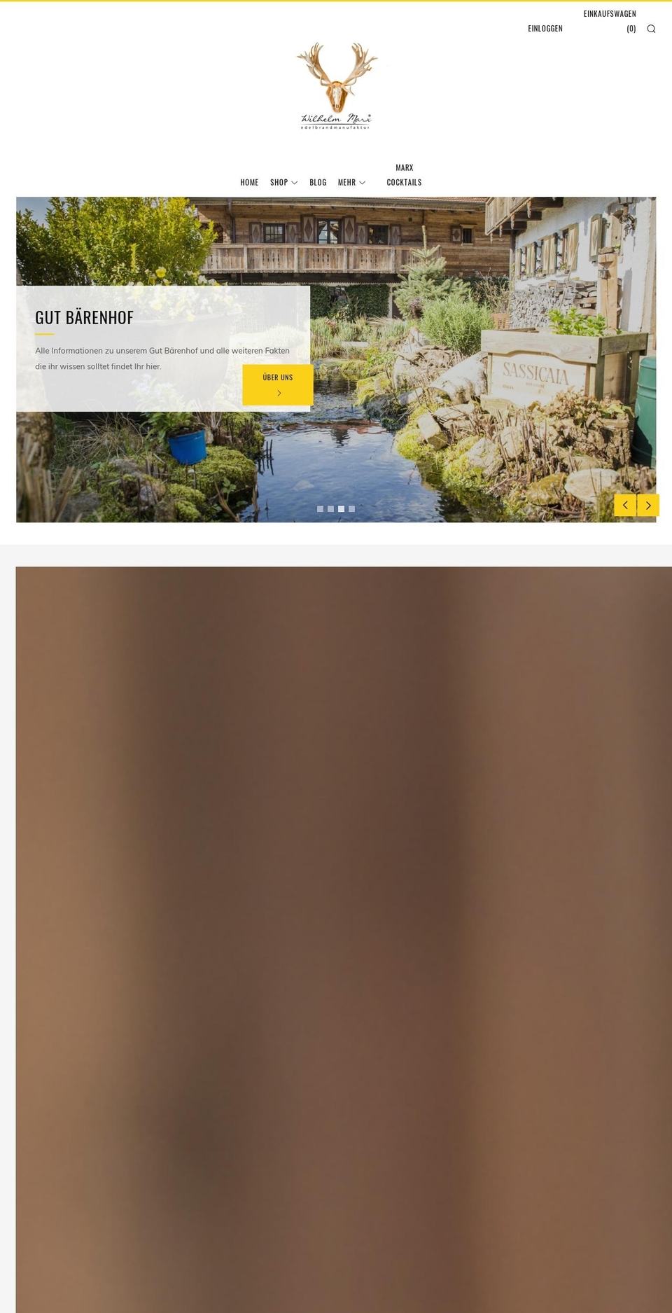 gingerno1.com shopify website screenshot