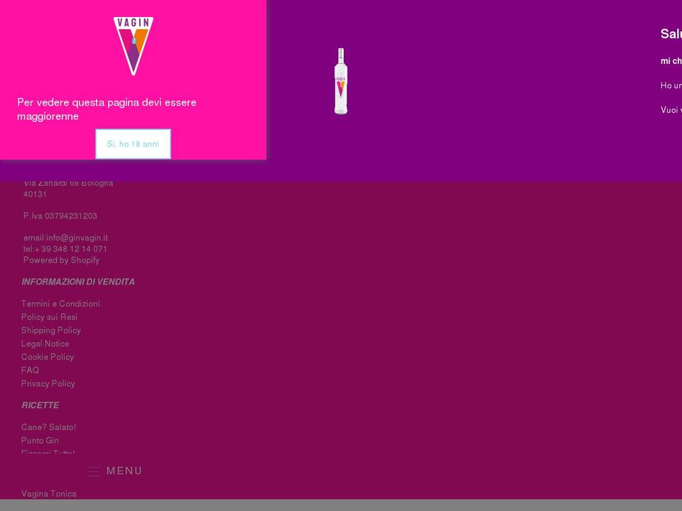 ginvagin.it shopify website screenshot