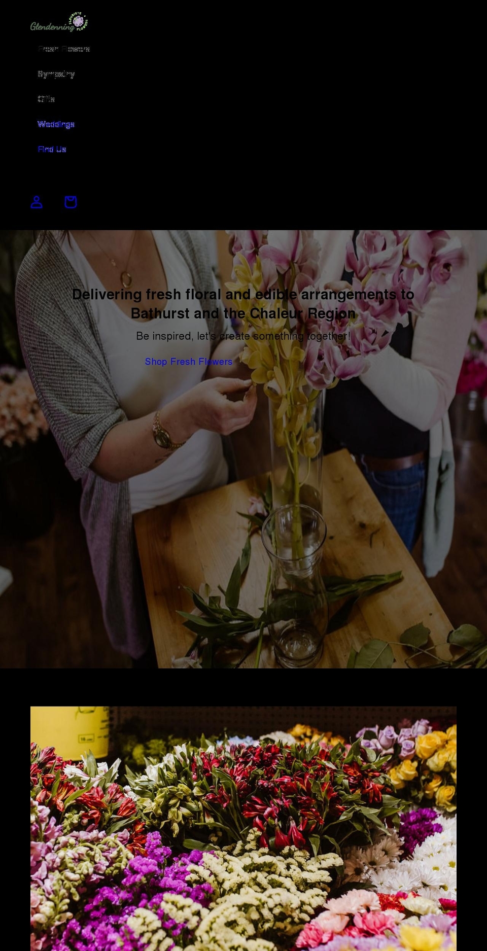 glendenningsbathurst.com shopify website screenshot