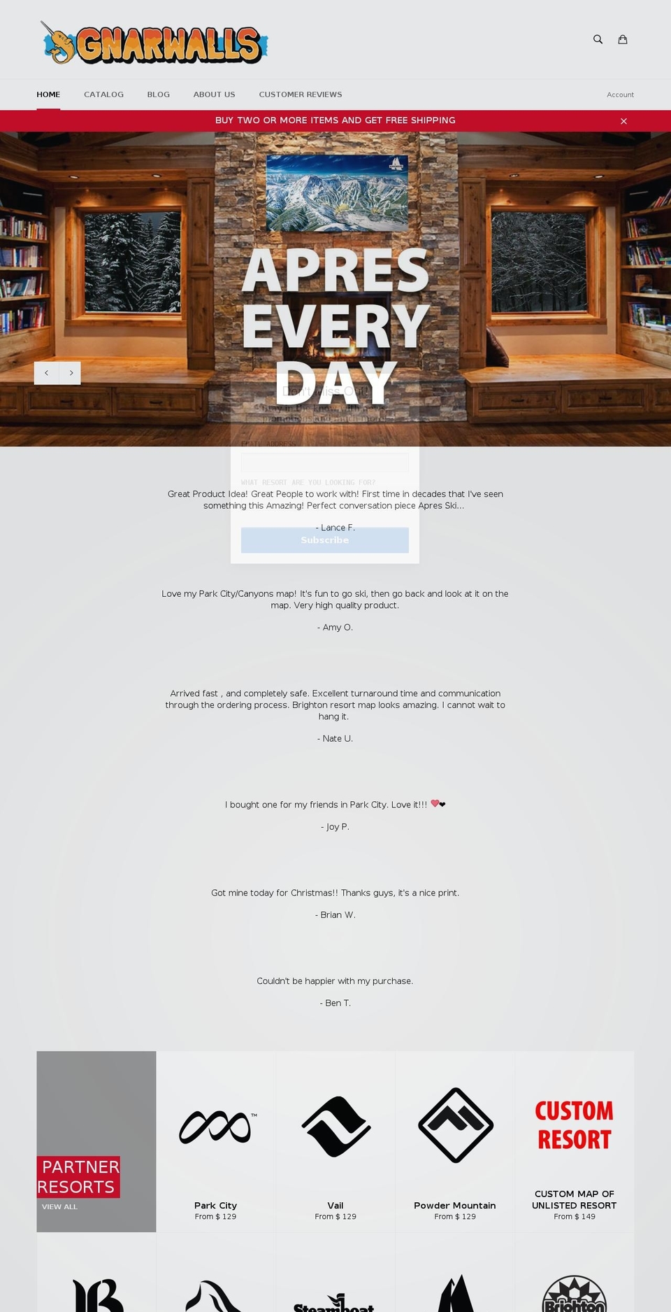 gnarwalls.com shopify website screenshot