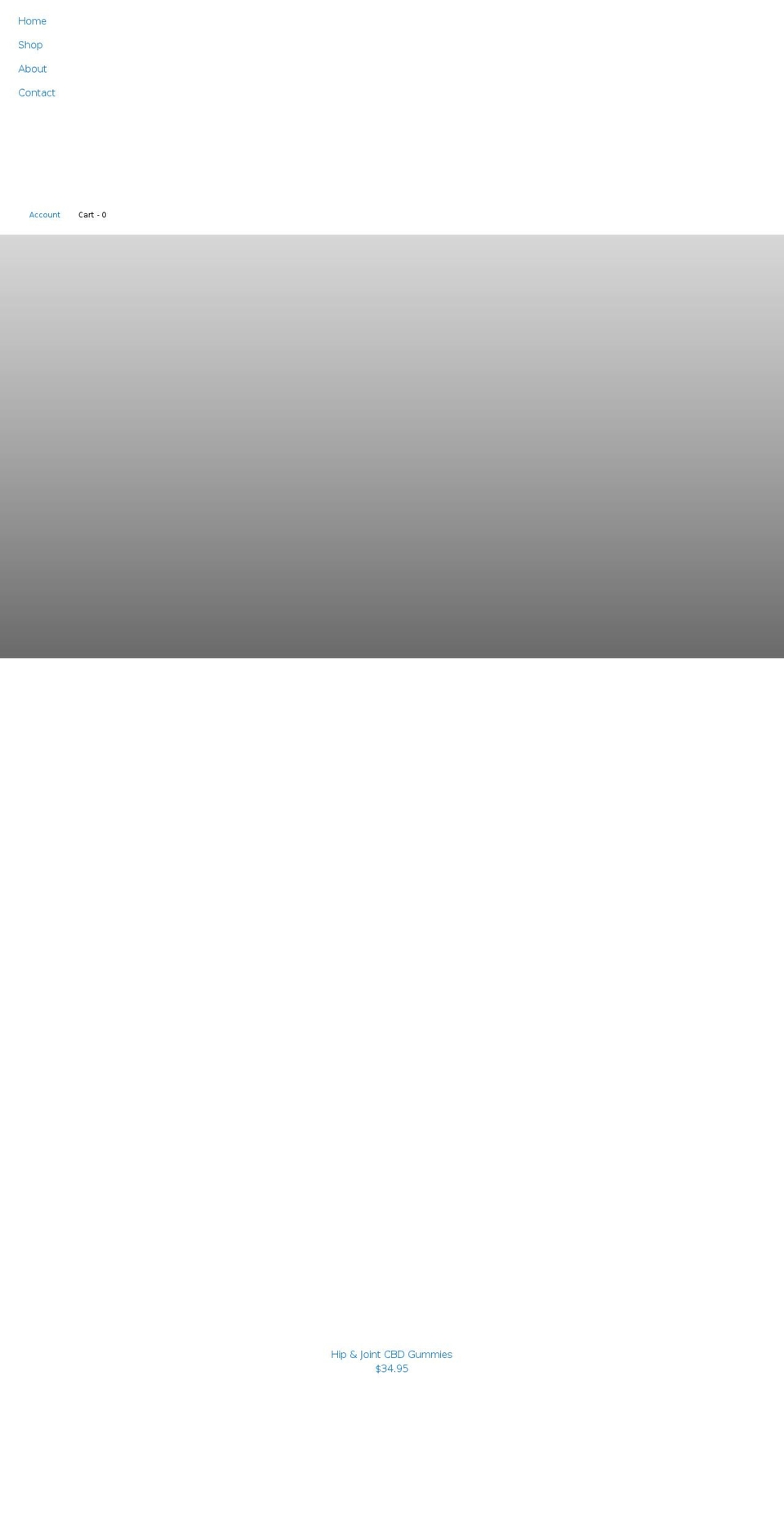 gobravobites.com shopify website screenshot