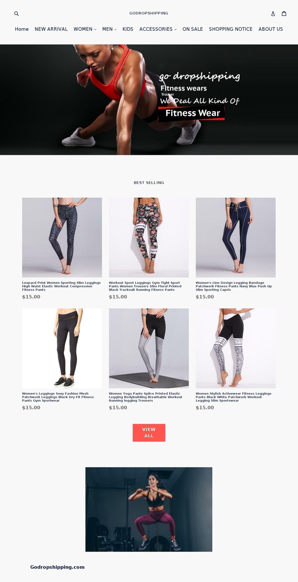 godropshipping.com shopify website screenshot