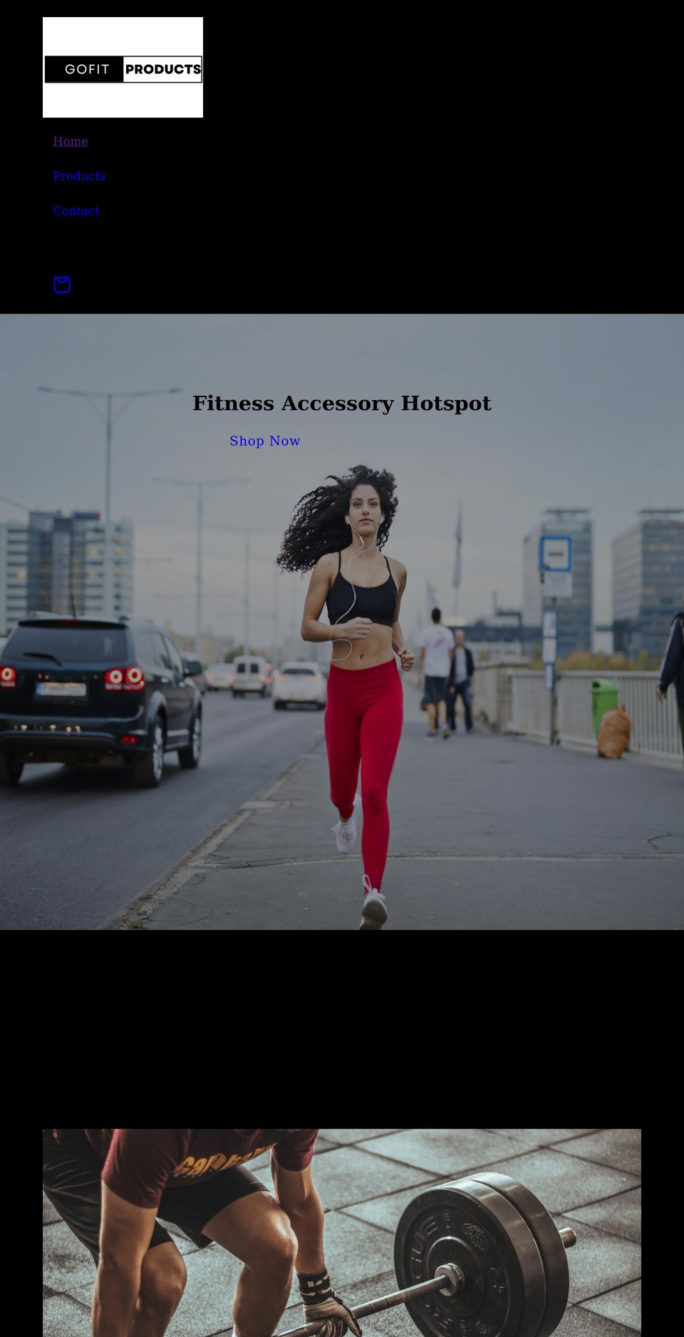 gofitproducts.com shopify website screenshot