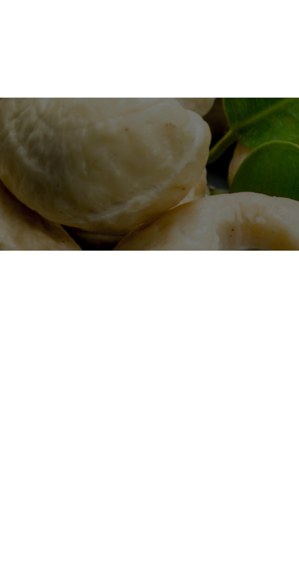 gogreencorner.com — Shopify storefront screenshot