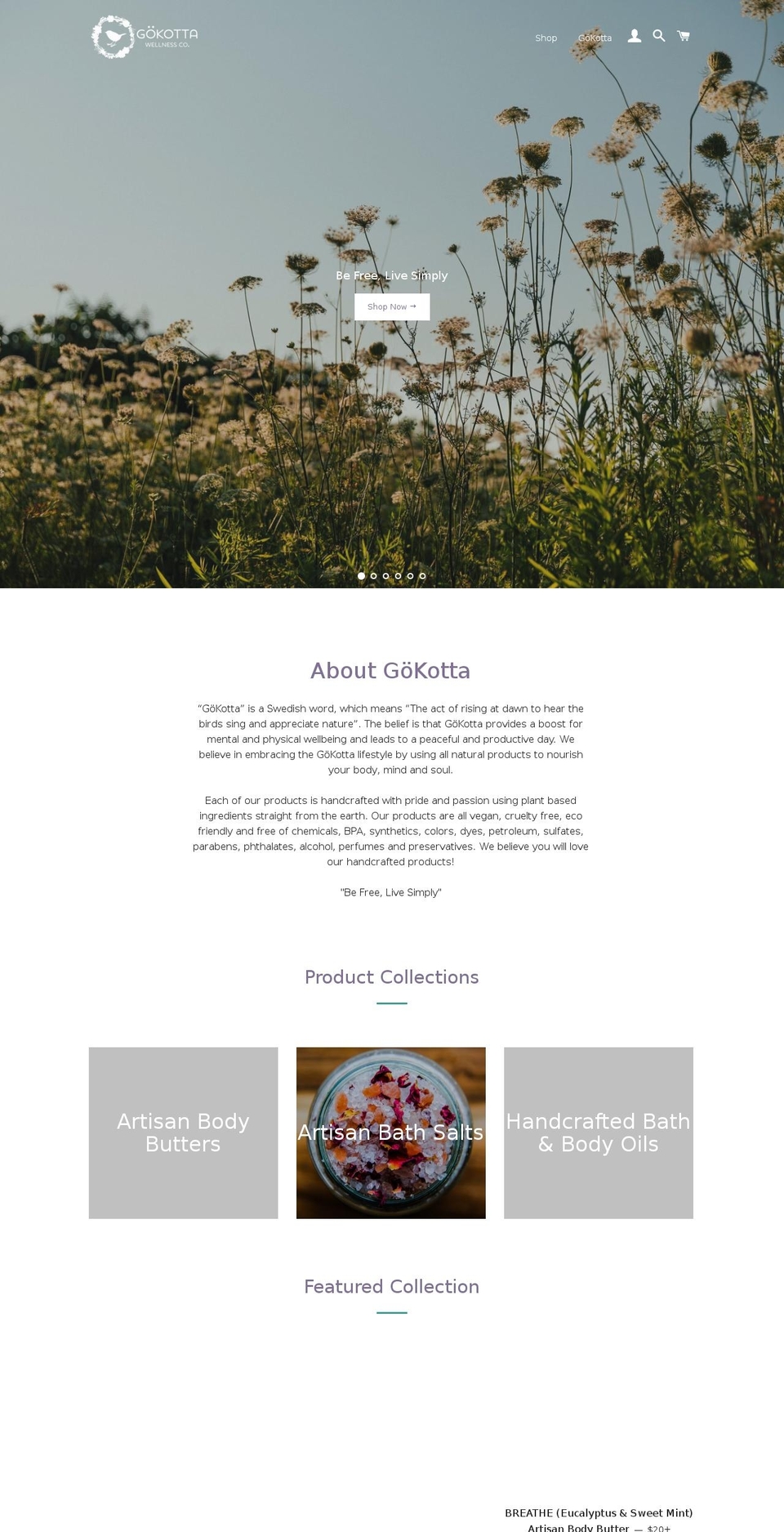 gokottawellness.com — Shopify storefront screenshot