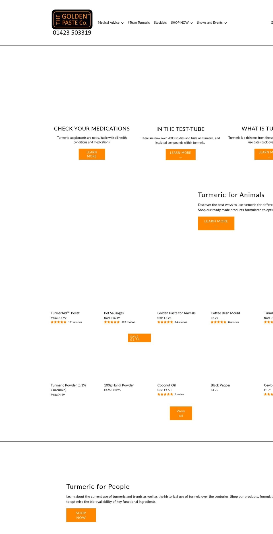 goldenpastecompany.com — Shopify storefront screenshot