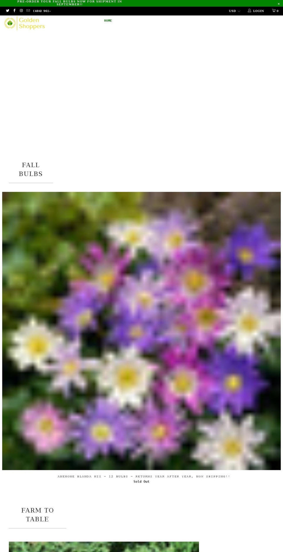 goldenshoppers.com shopify website screenshot