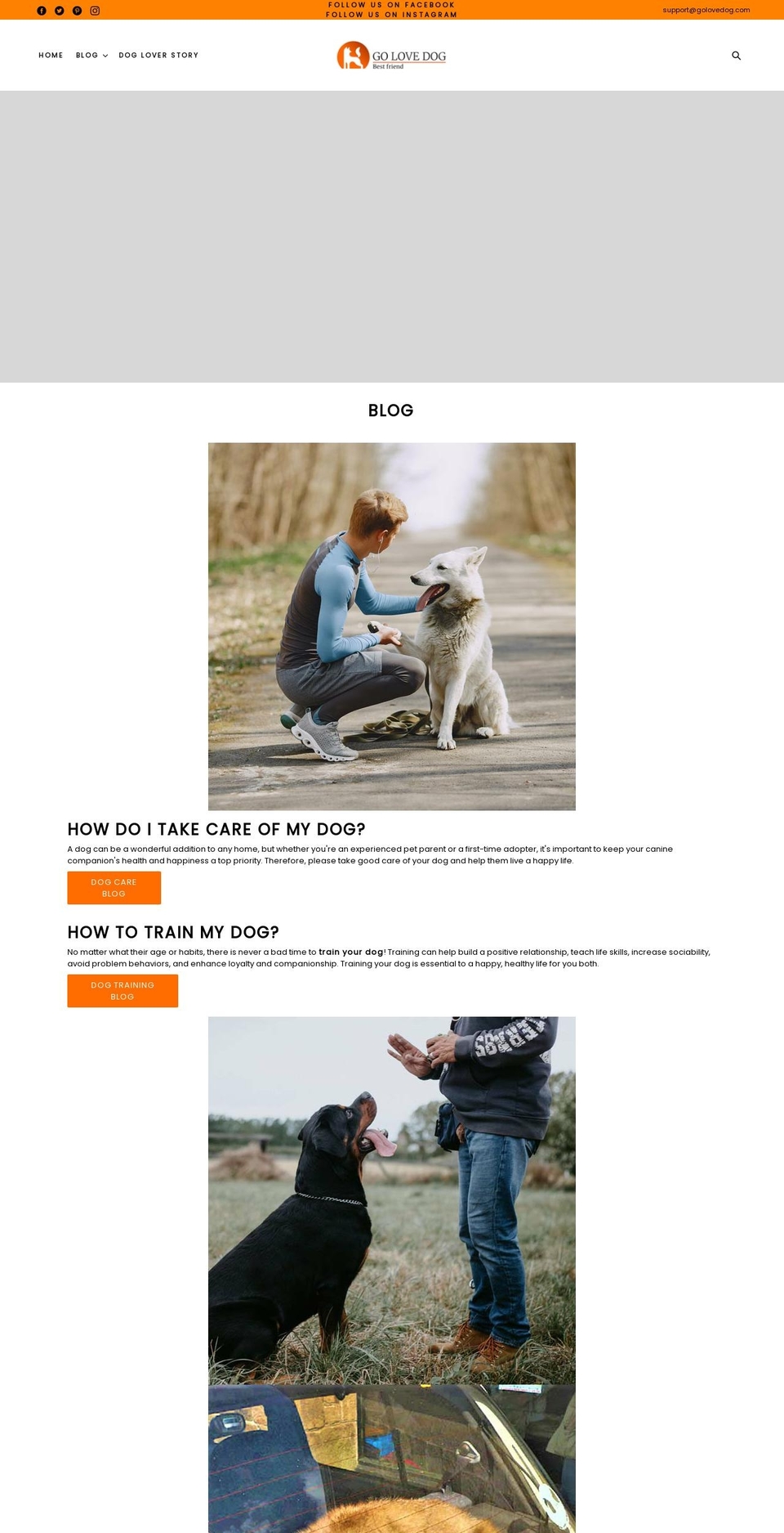 golovedog.com shopify website screenshot