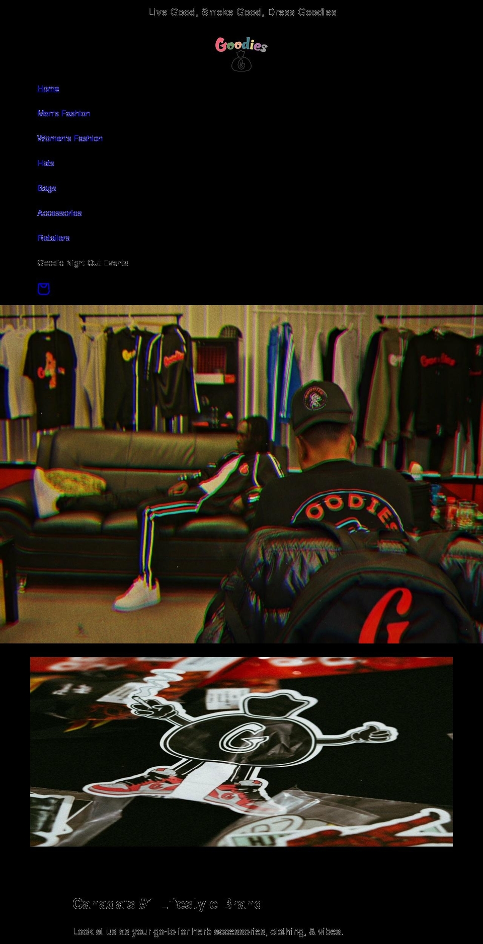 goodiesbagg.com shopify website screenshot