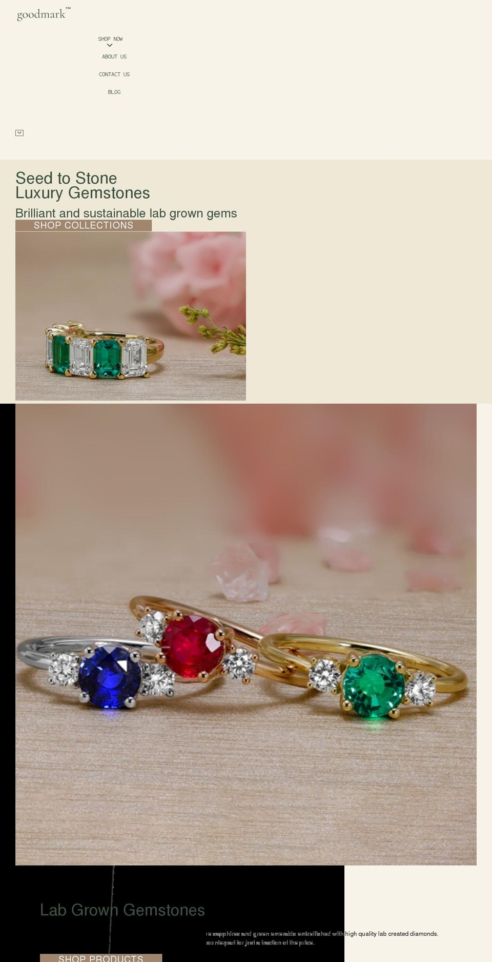 goodmarkjewelry.com shopify website screenshot