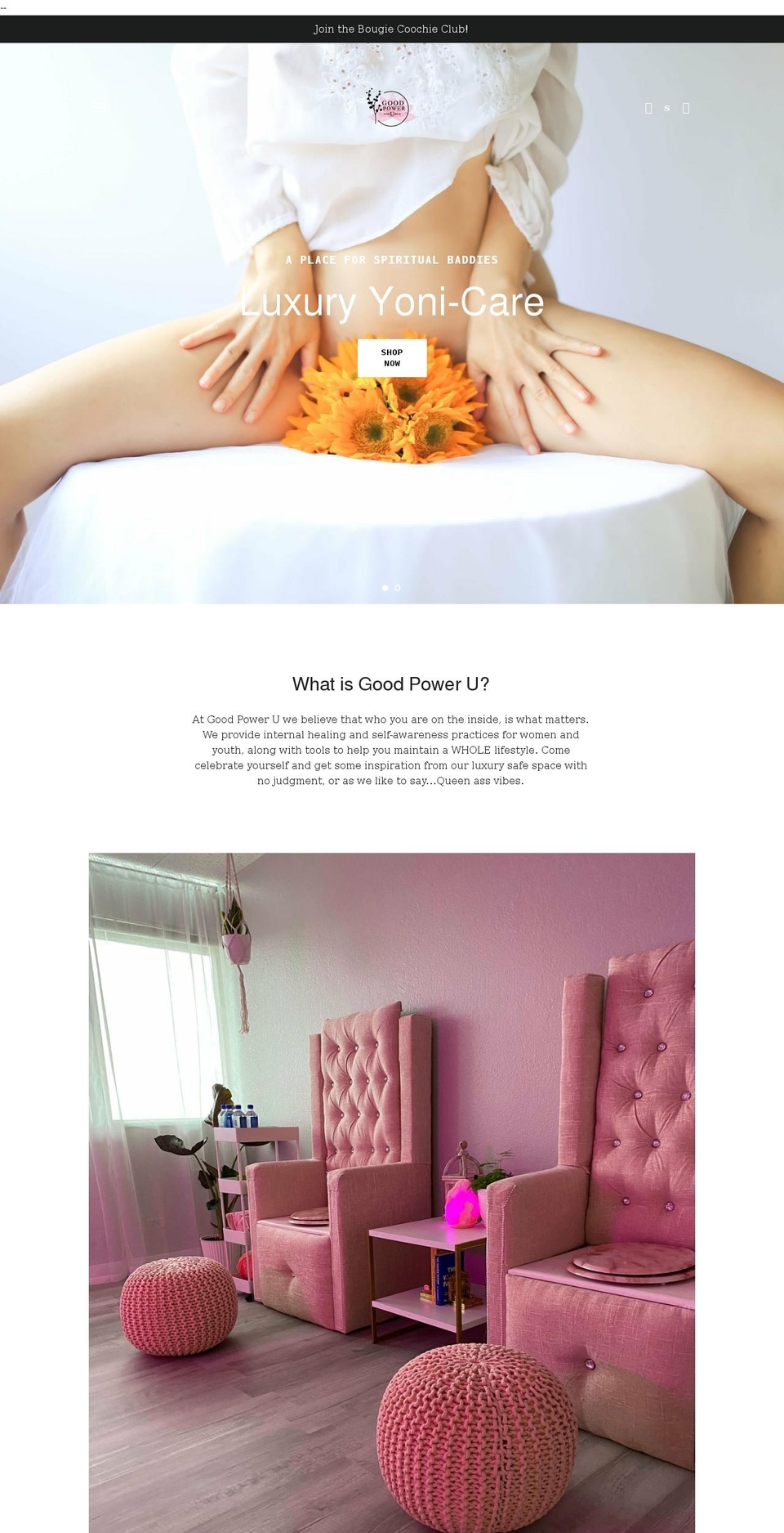 goodpoweru.com shopify website screenshot