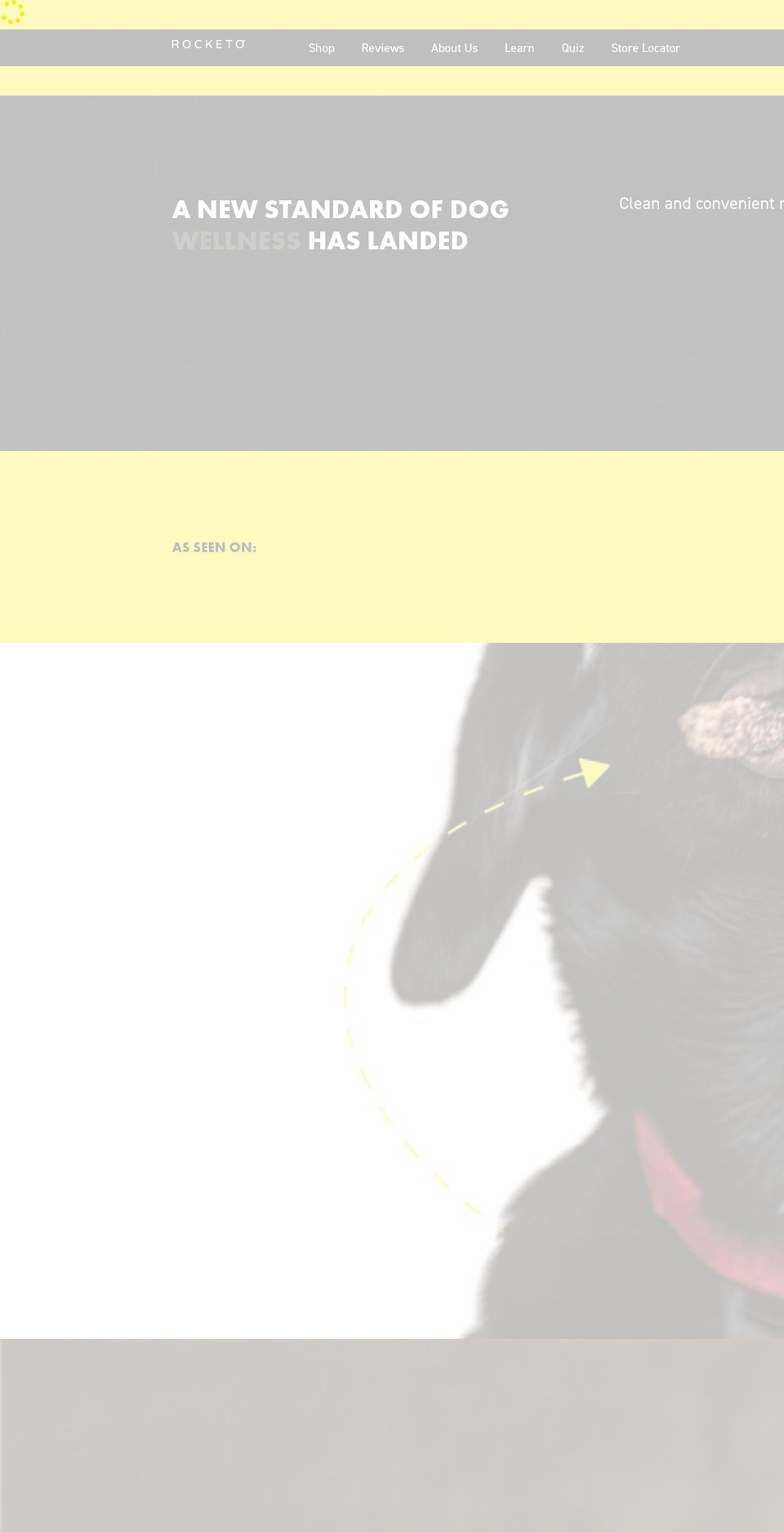 gorocketo.com — Shopify storefront screenshot
