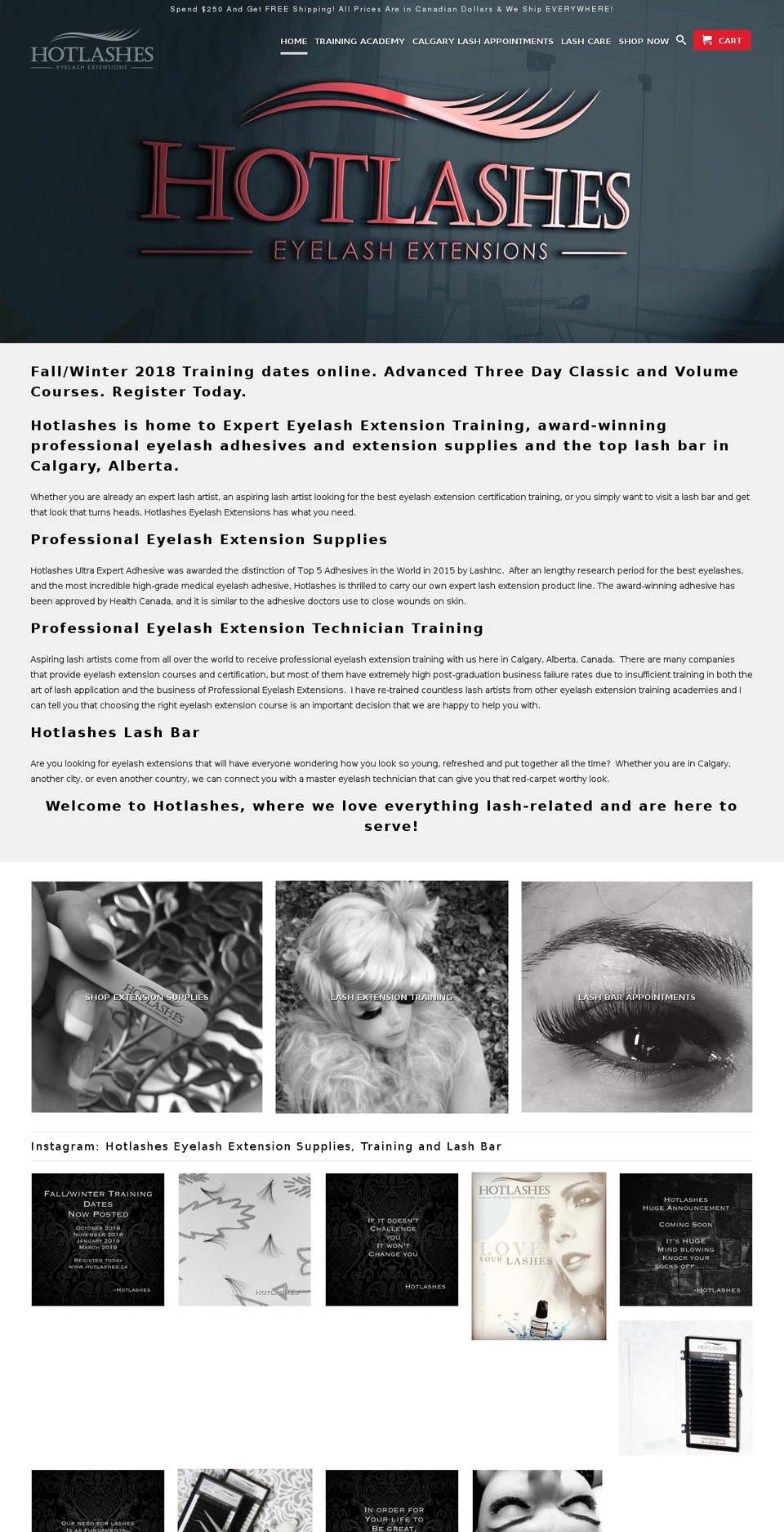 gotlashes.ca shopify website screenshot