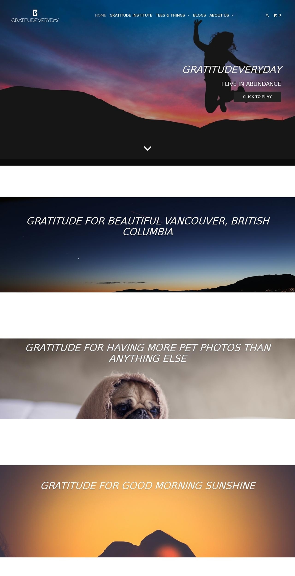 gratitudeveryday.com shopify website screenshot