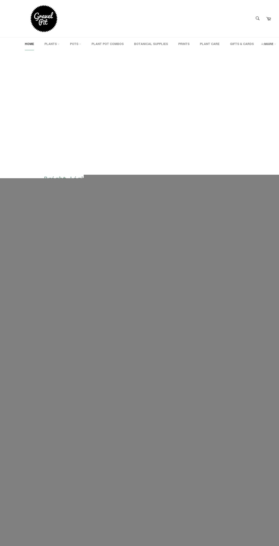 gravelpitshop.com shopify website screenshot