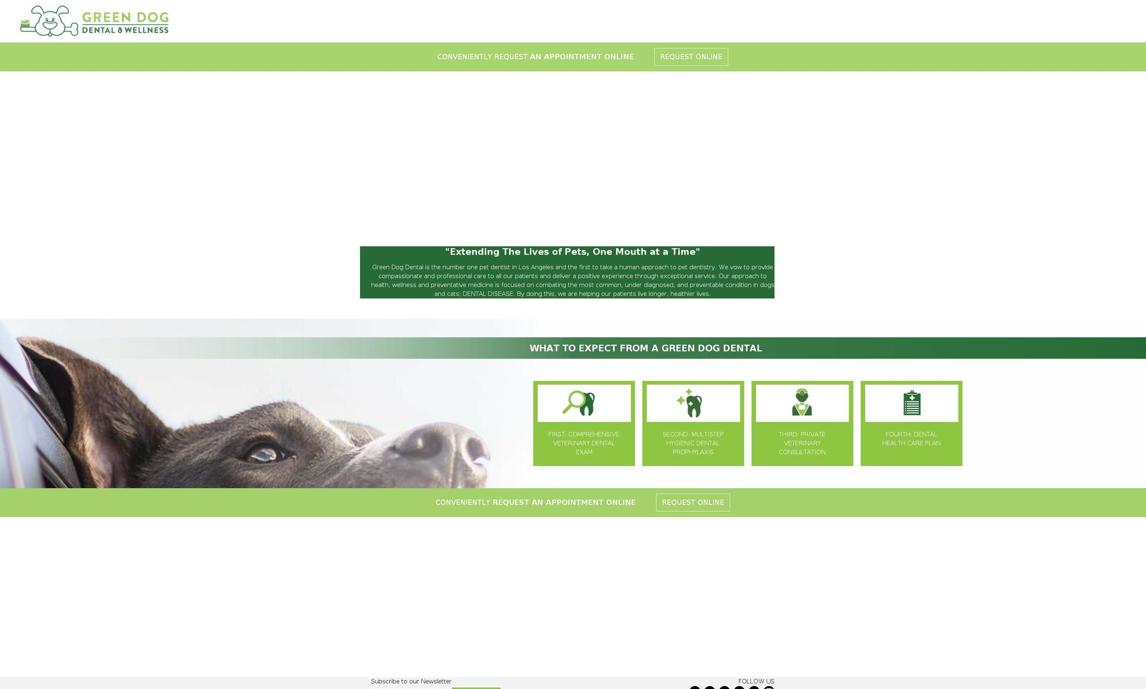 greendogdental.com shopify website screenshot