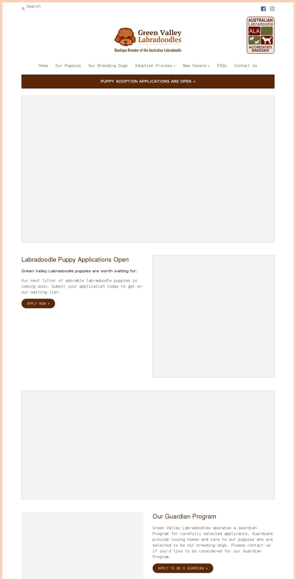 greenvalleylabradoodles.com.au shopify website screenshot