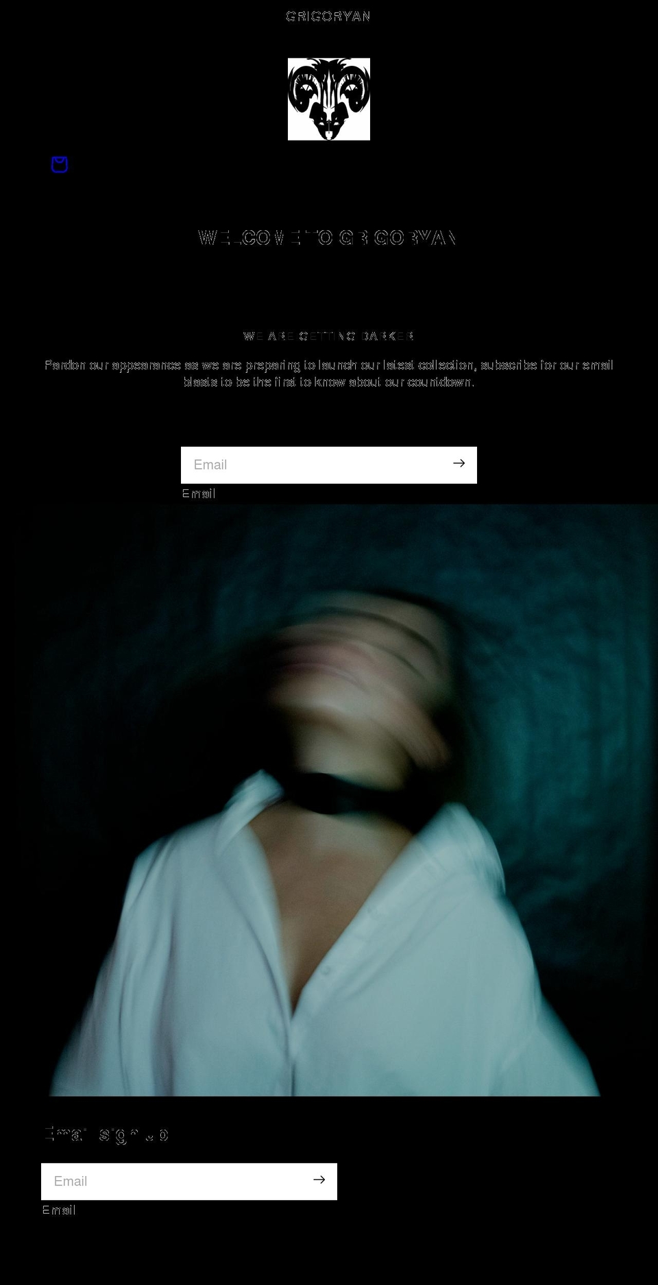 grigoryan.black shopify website screenshot