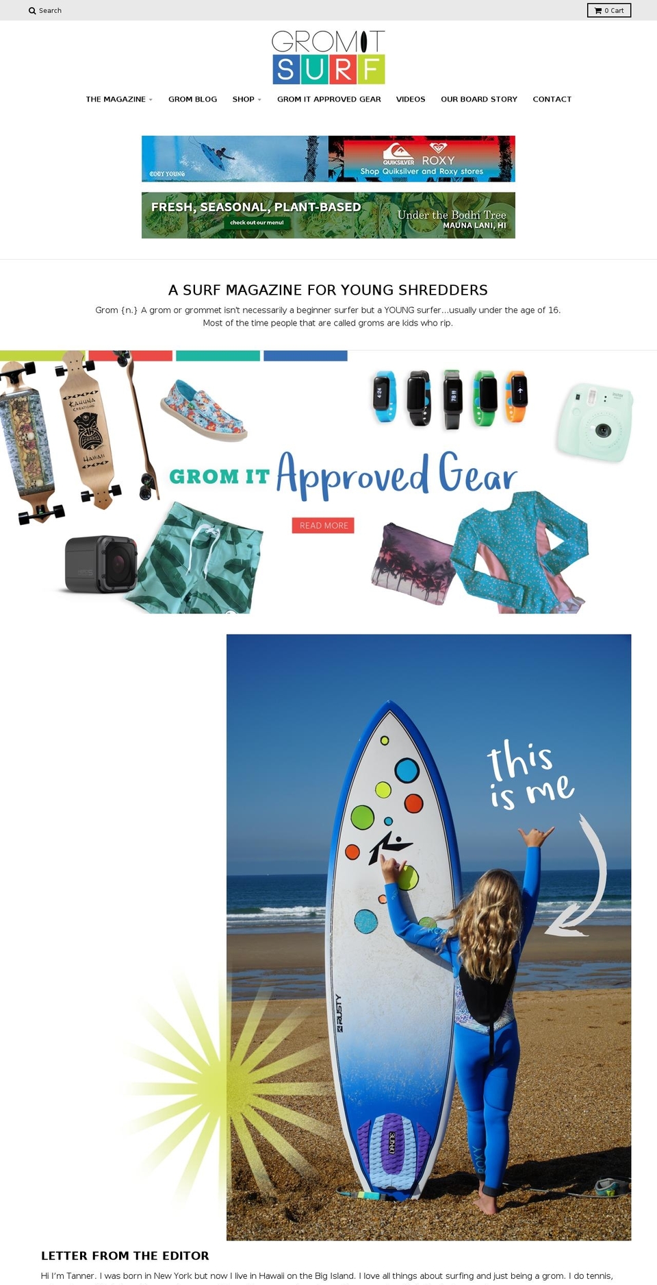 gromitsurf.com — Shopify storefront screenshot