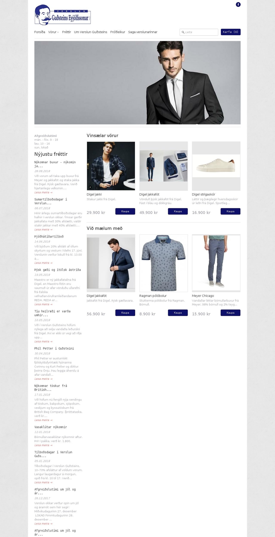 gudsteinn.is shopify website screenshot