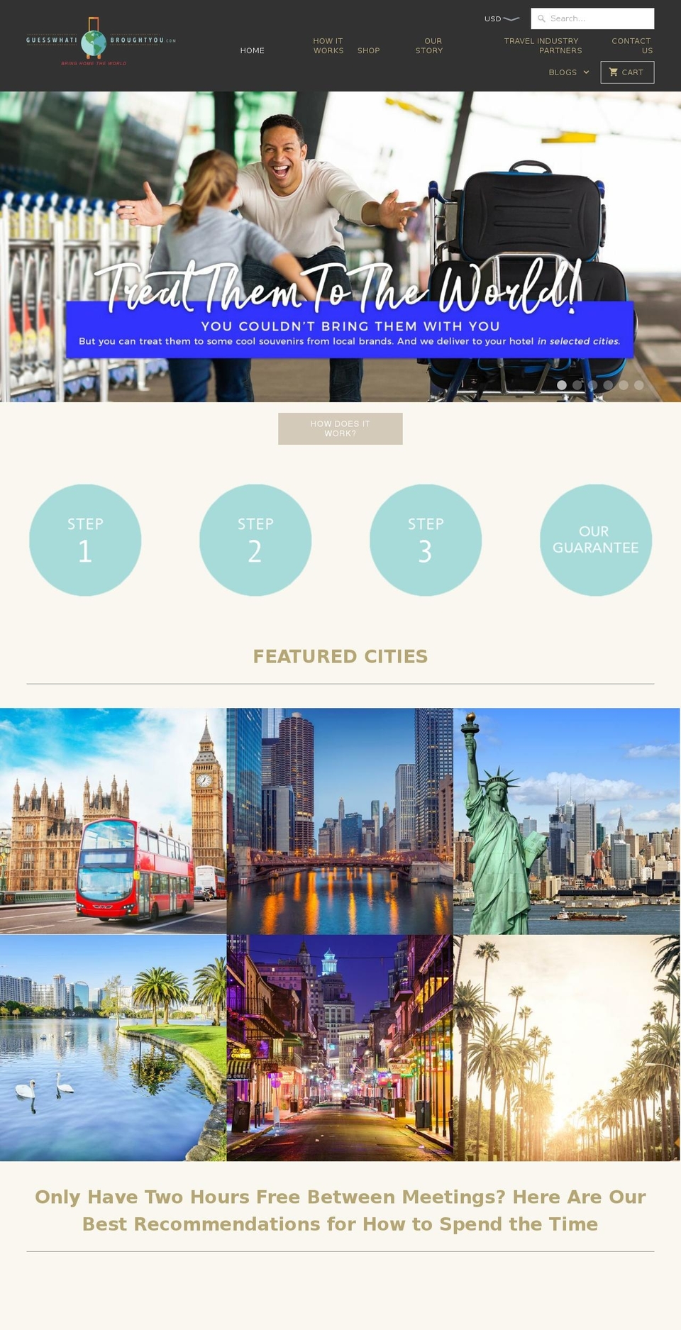 guesswhatibroughtyou.com shopify website screenshot