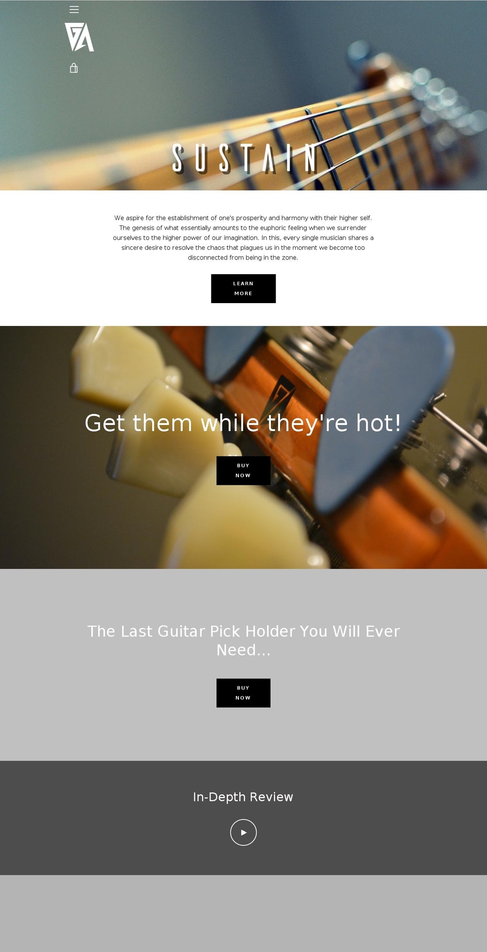guitarassassin.com — Shopify storefront screenshot