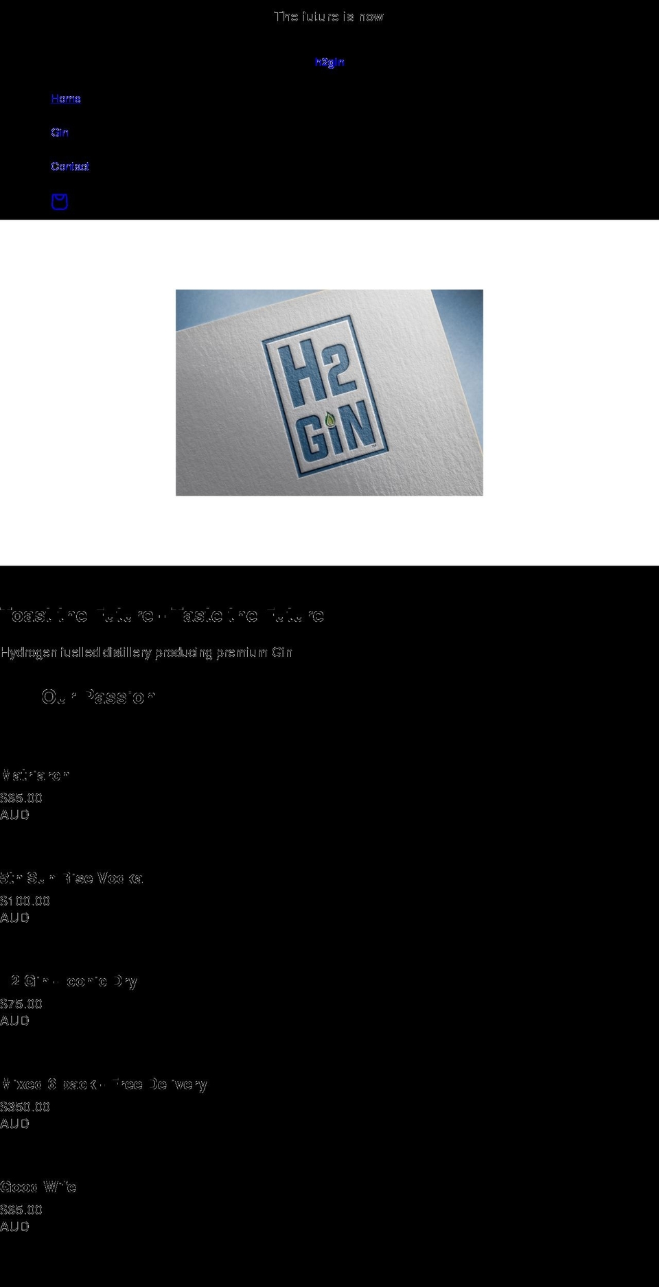 h2gin.com shopify website screenshot