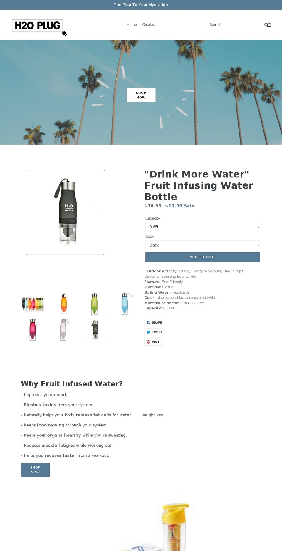h2oplug.com — Shopify storefront screenshot