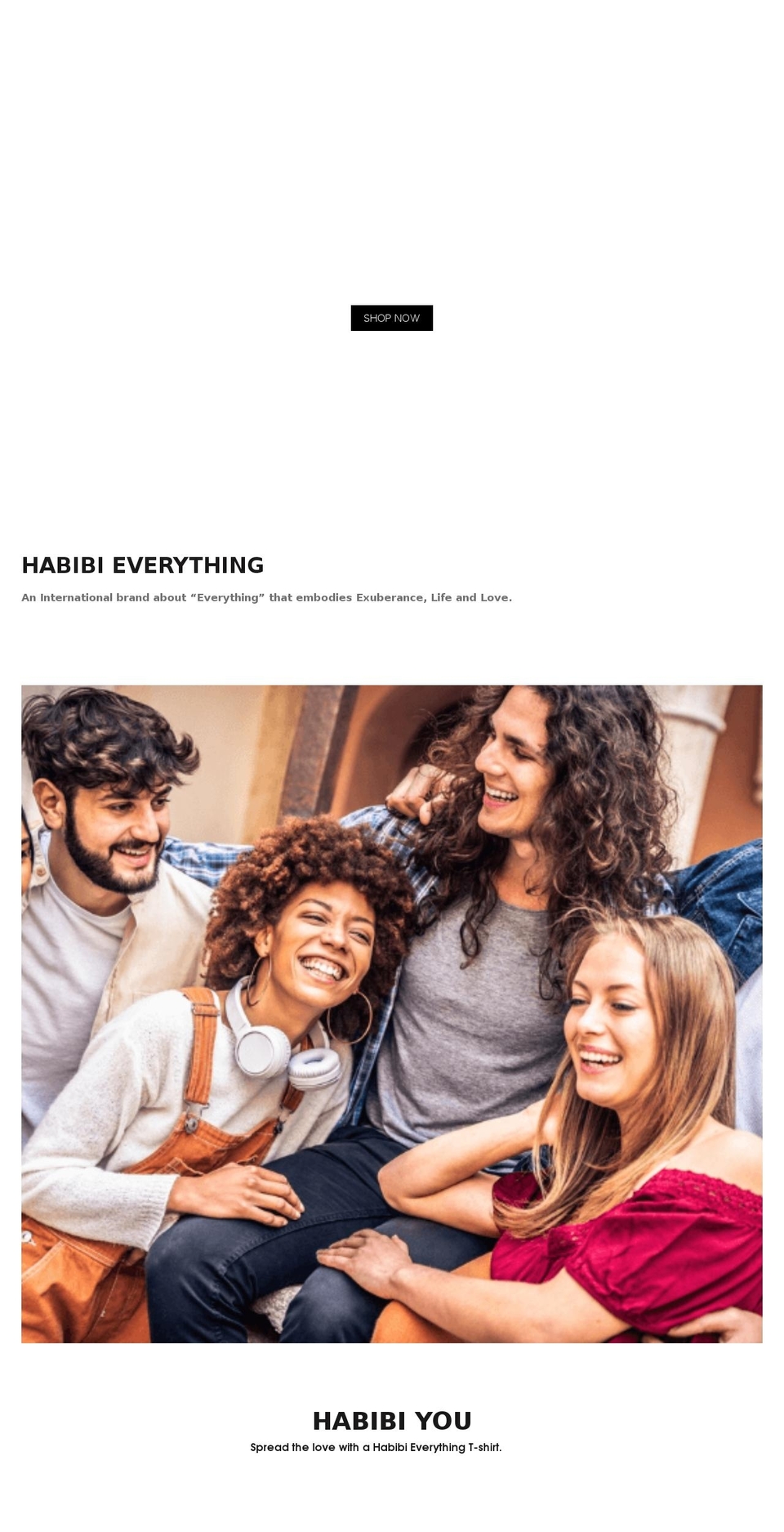 habibieverything.com shopify website screenshot