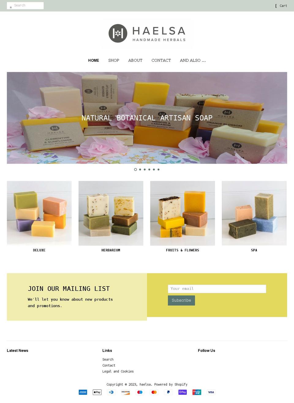 haelsa.co.uk shopify website screenshot