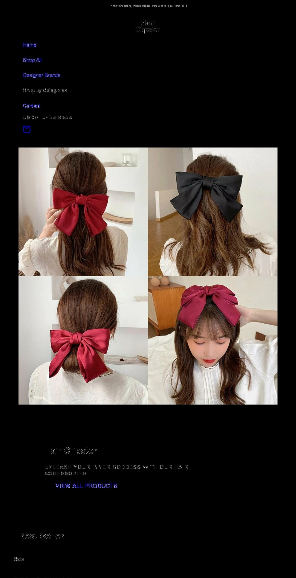 hairclipster.com shopify website screenshot