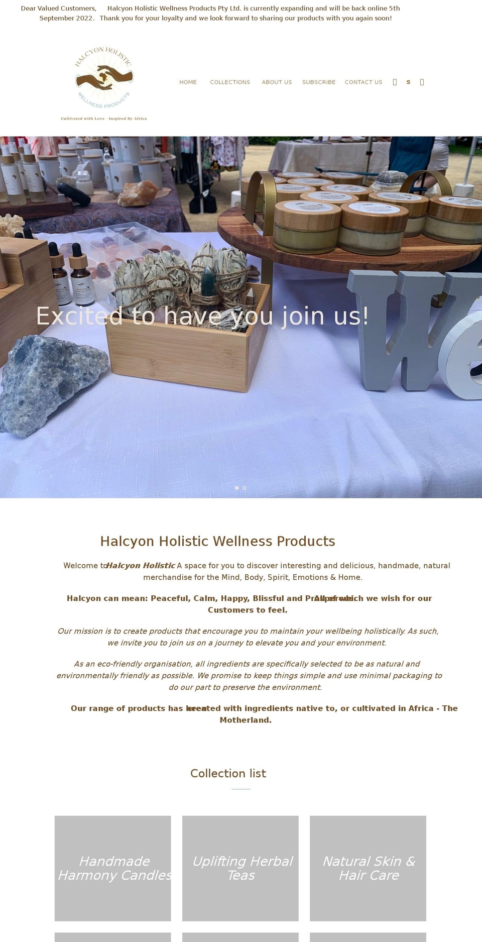 halcyonholistic.com shopify website screenshot