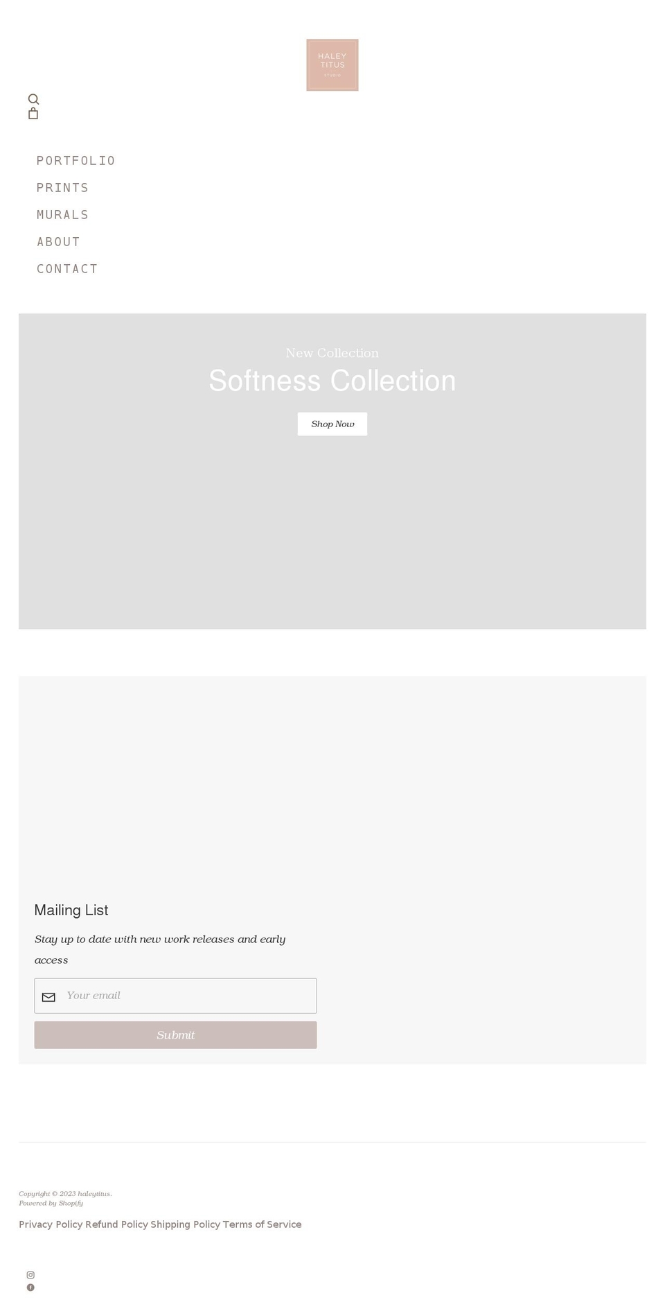 haleytitus.com shopify website screenshot