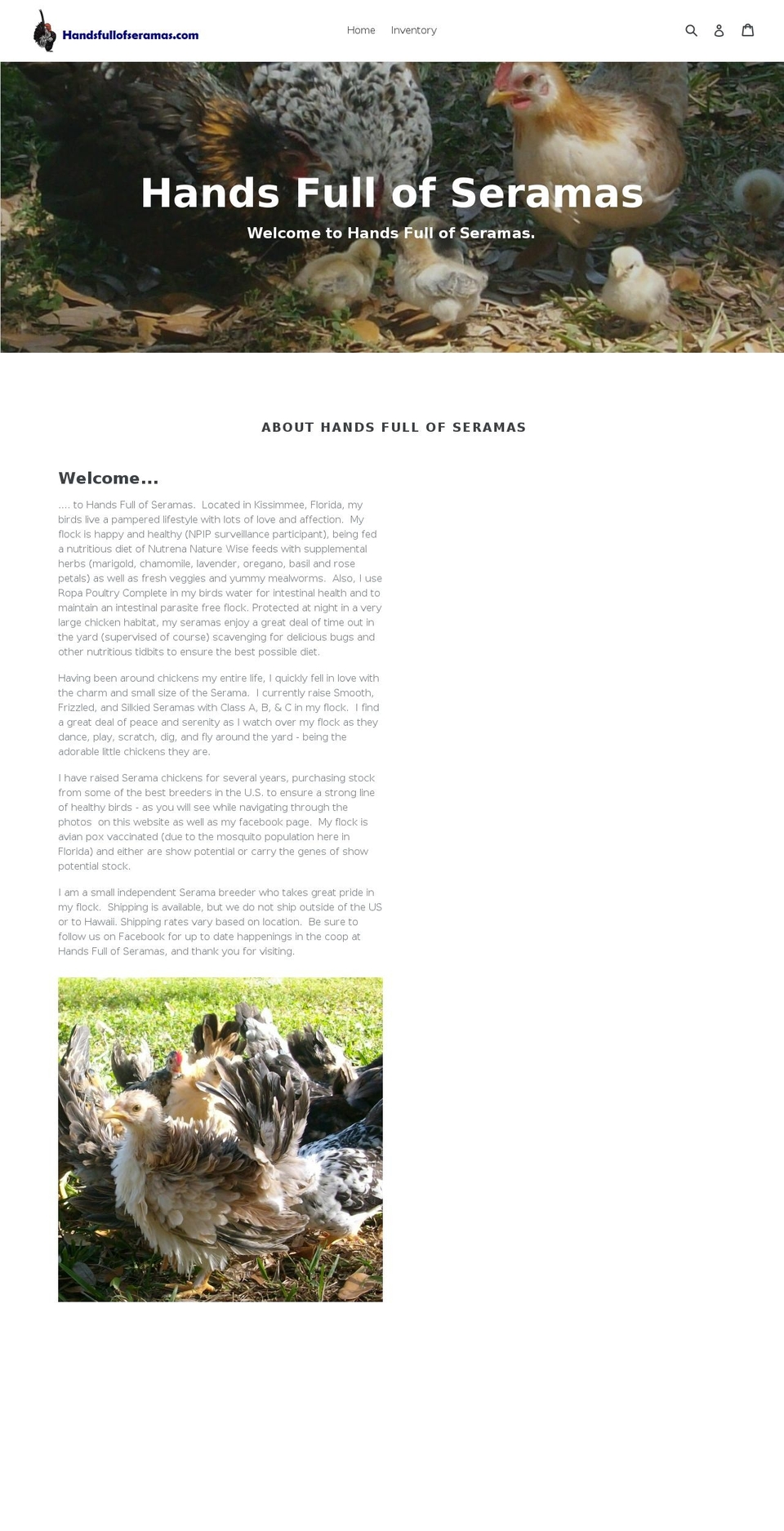 handsfullofseramas.net shopify website screenshot