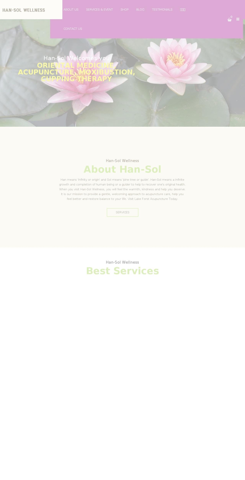 install-01 Shopify theme site example hansolwellness.com